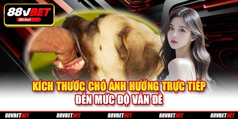 Kích thước chó ảnh hưởng trực tiếp đến mức độ vấn đề Kích thước chó ảnh hưởng trực tiếp đến mức độ vấn đề