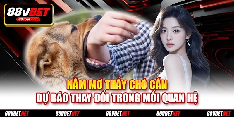 Nằm mơ thấy chó cắn dự báo thay đổi trong mối quan hệ Nằm mơ thấy chó cắn dự báo thay đổi trong mối quan hệ
