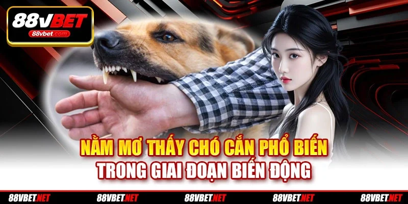 Nằm mơ thấy chó cắn phổ biến trong giai đoạn biến động Nằm mơ thấy chó cắn phổ biến trong giai đoạn biến động