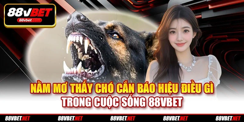 Nằm Mơ Thấy Chó Cắn Báo Hiệu Điều Gì Trong Cuộc Sống 88VBET