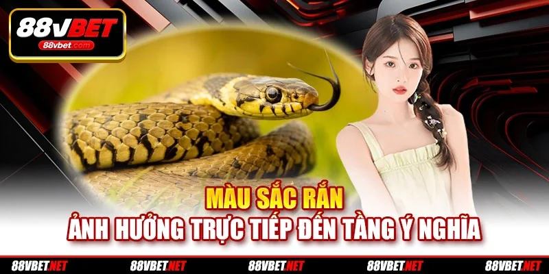 Màu sắc rắn ảnh hưởng trực tiếp đến tầng ý nghĩa