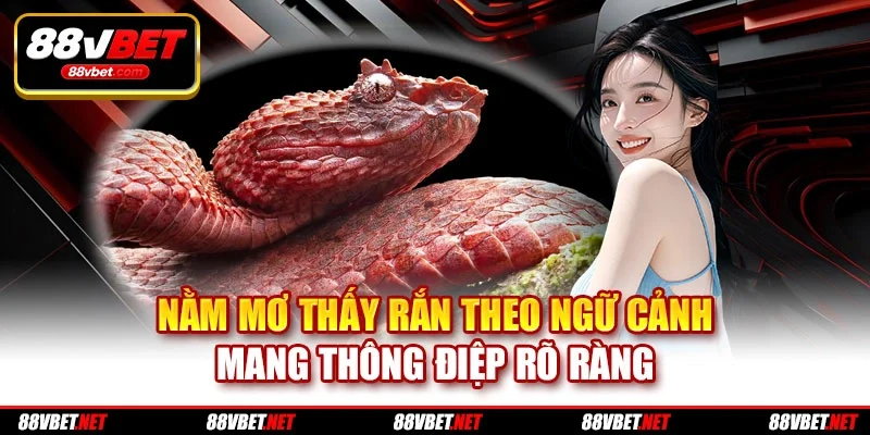 Nằm mơ thấy rắn theo ngữ cảnh mang thông điệp rõ ràng
