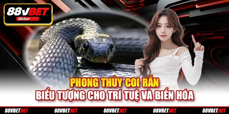 Phong thủy coi rắn biểu tượng cho trí tuệ và biến hóa