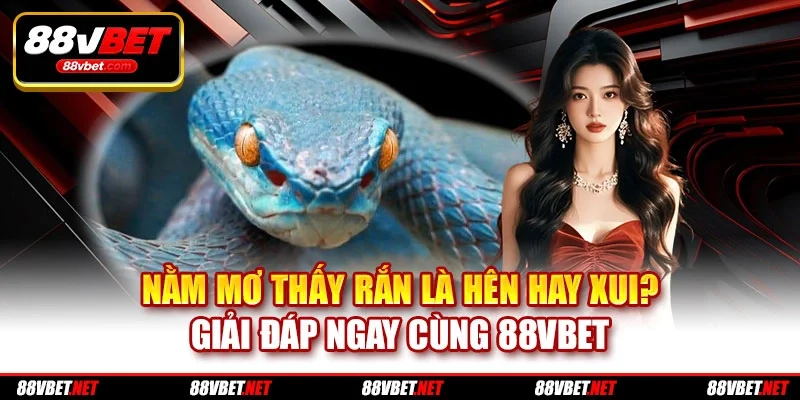 Nằm Mơ Thấy Rắn Là Hên Hay Xui? Giải Đáp Ngay Cùng 88VBET